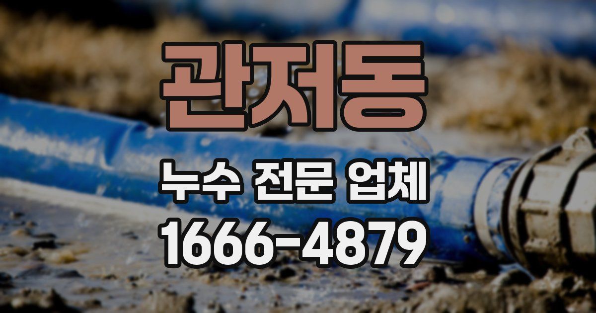 관저동 누수 전문 업체