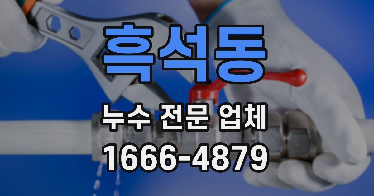 흑석동 누수 전문 업체