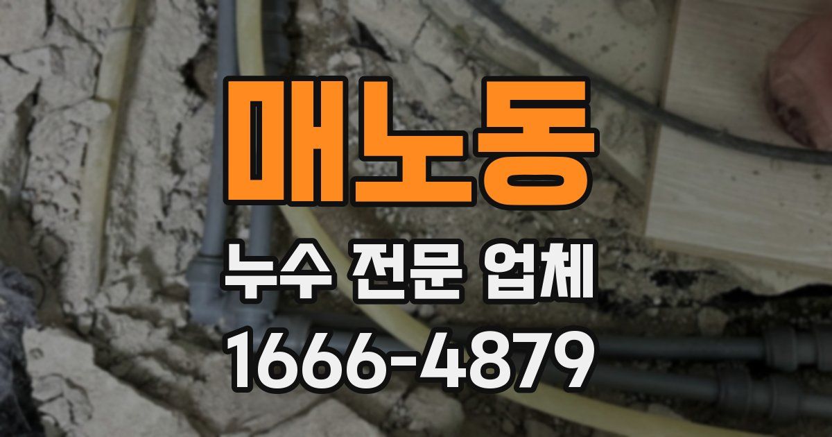 매노동 누수 전문 업체