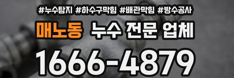 매노동 누수 전문 업체