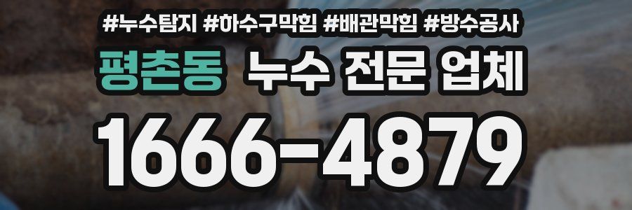평촌동 누수 전문 업체