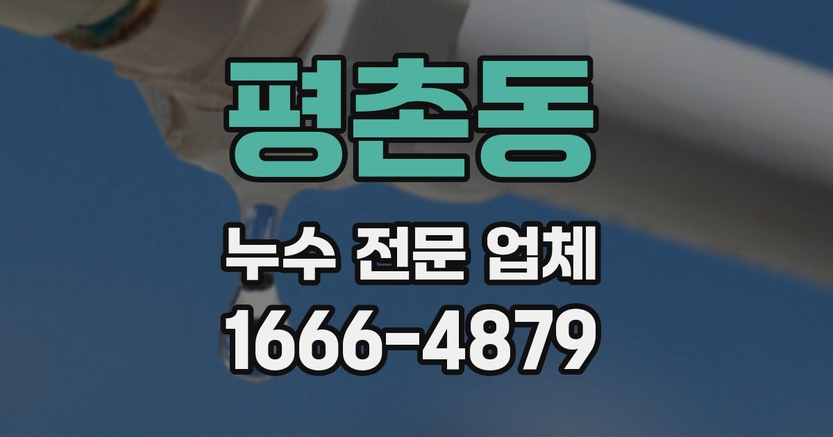 평촌동 누수 전문 업체