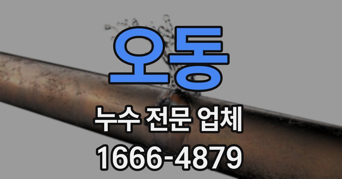 오동 누수 전문 업체