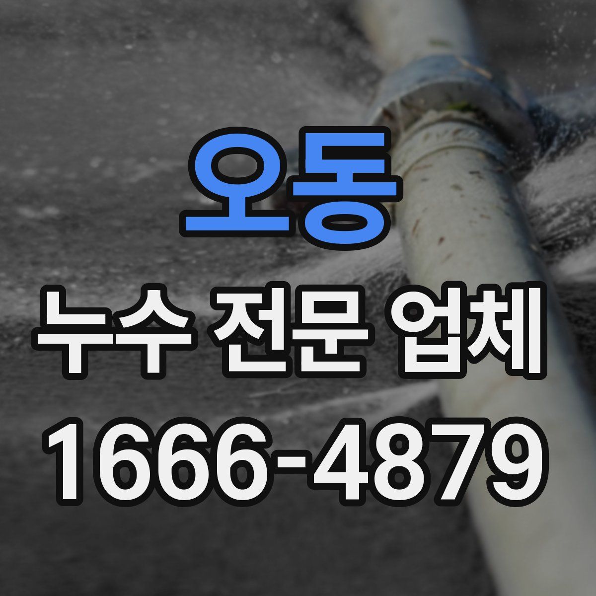 오동 누수 전문 업체