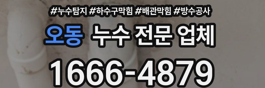 오동 누수 전문 업체