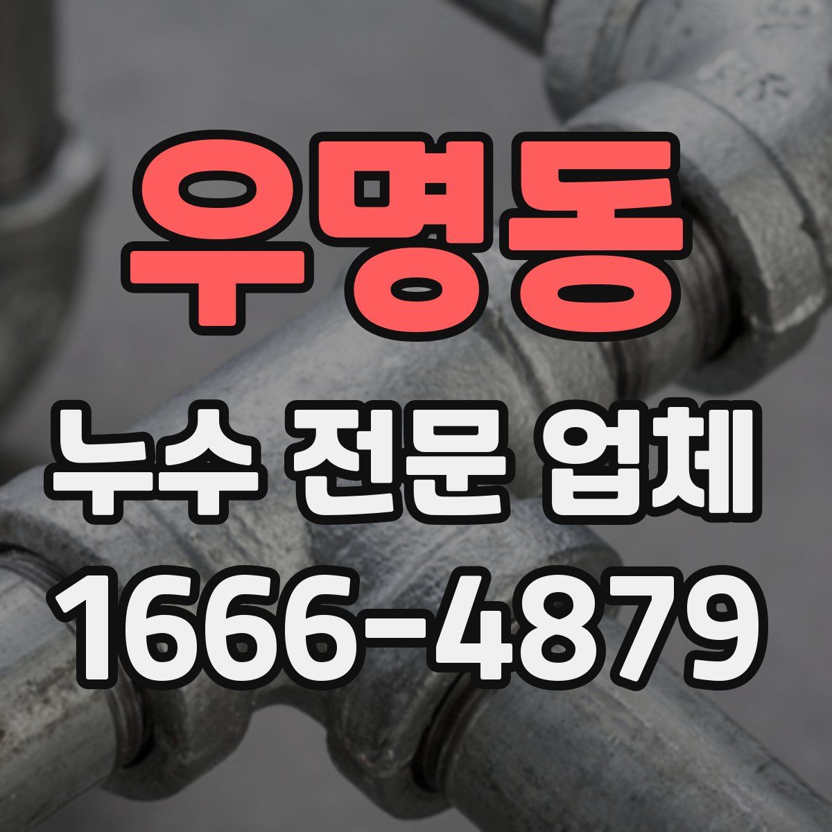 우명동 누수 전문 업체