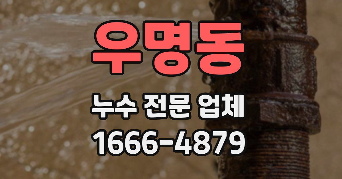 우명동 누수 전문 업체