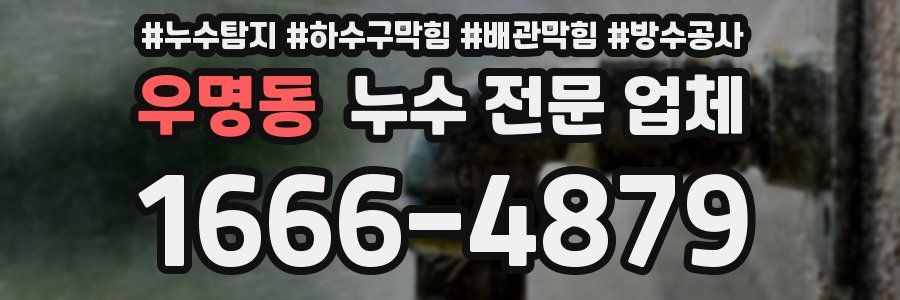우명동 누수 전문 업체