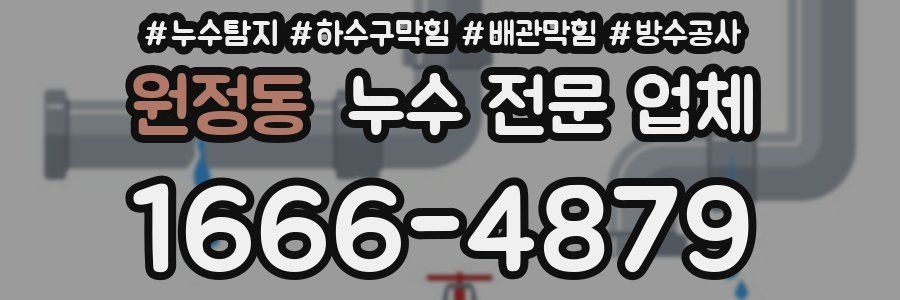 원정동 누수 전문 업체