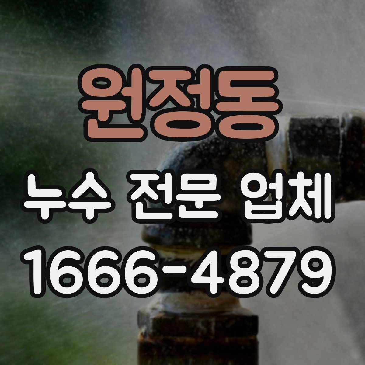 원정동 누수 전문 업체