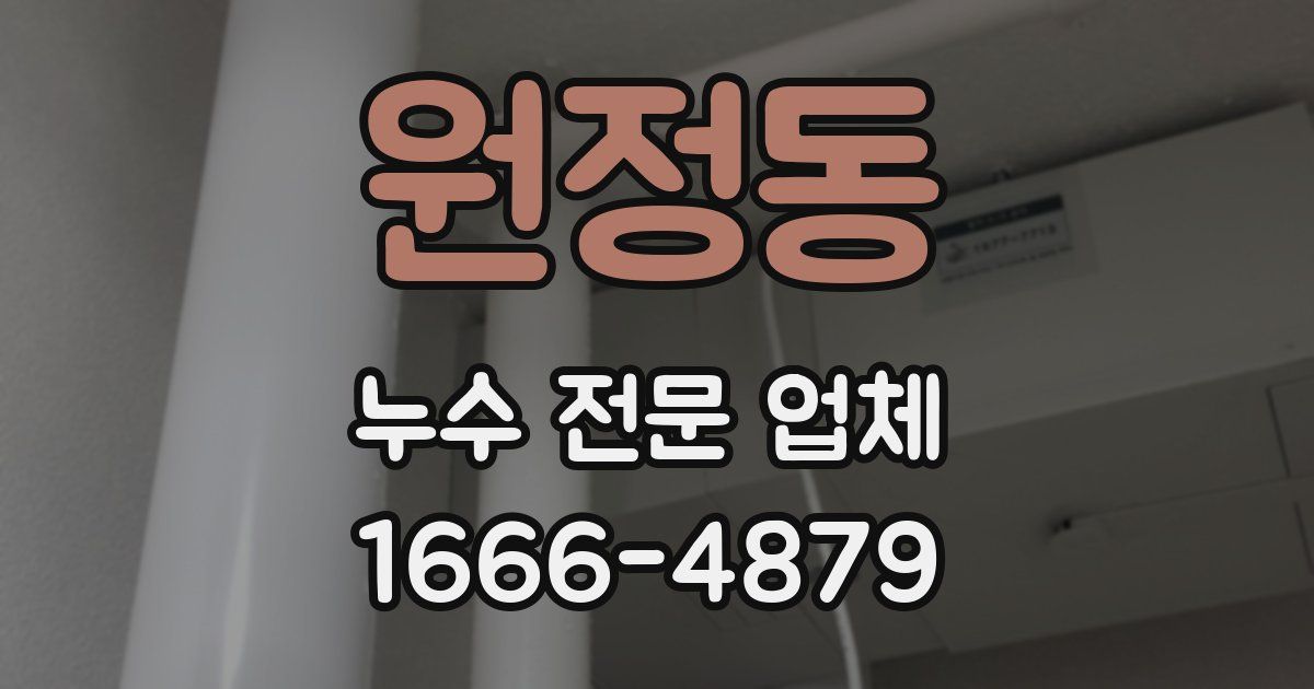 원정동 누수 전문 업체