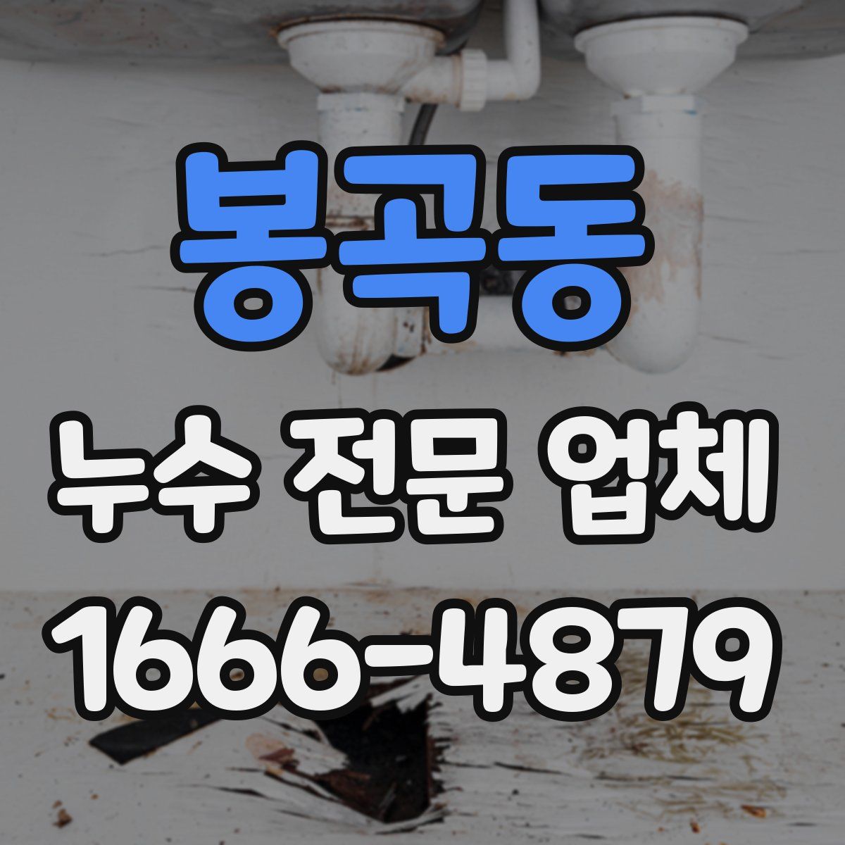 봉곡동 누수 전문 업체