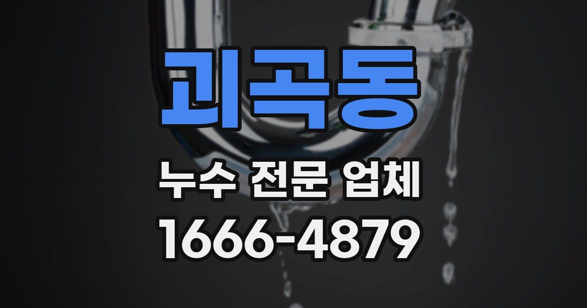 괴곡동 누수 전문 업체