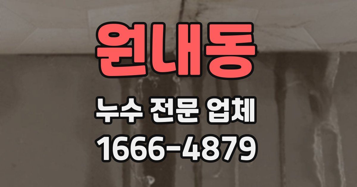 원내동 누수 전문 업체