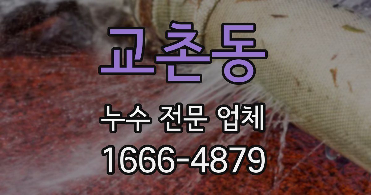 교촌동 누수 전문 업체