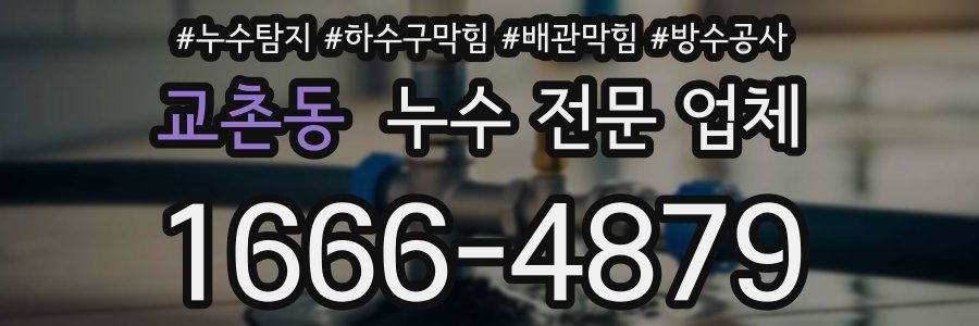 교촌동 누수 전문 업체