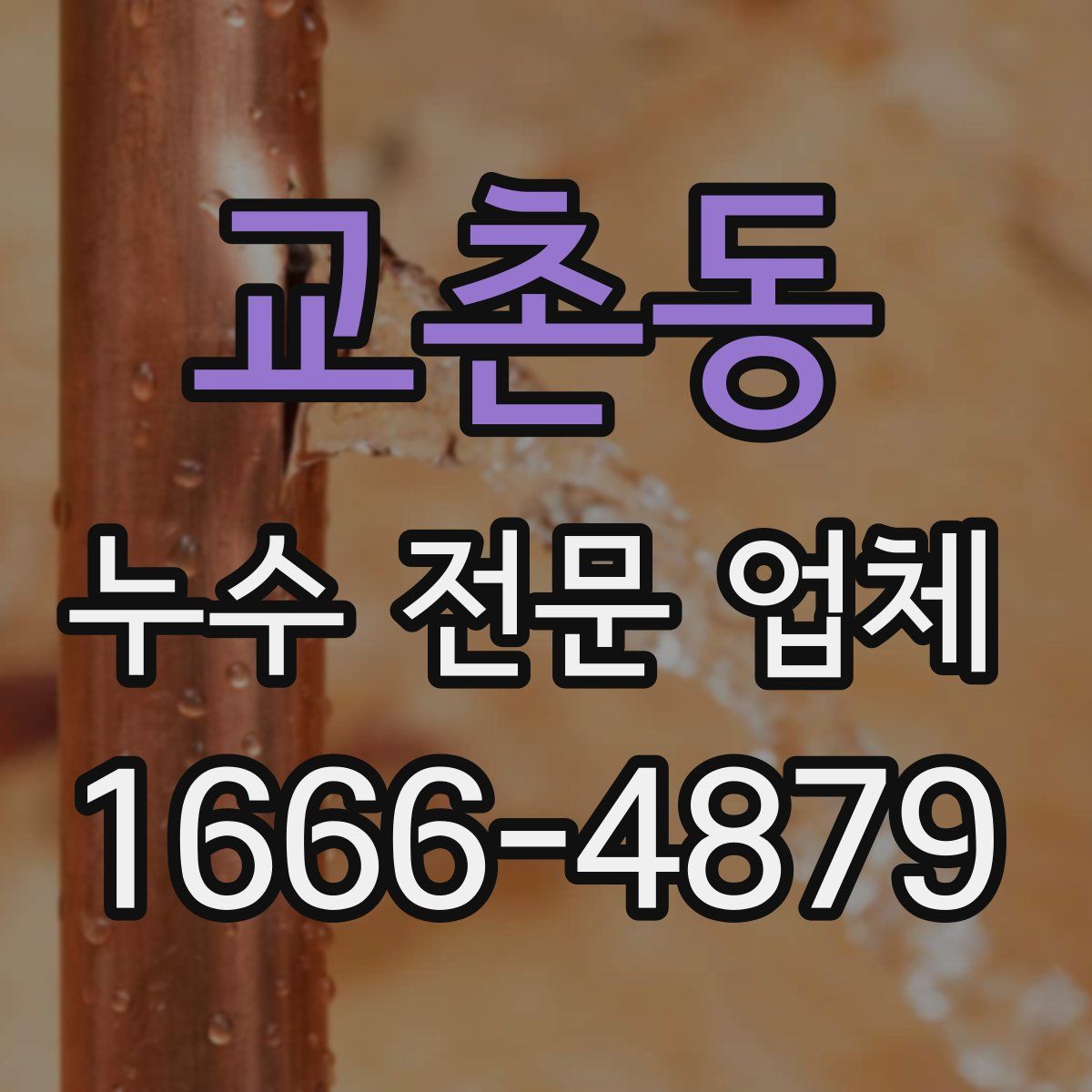 교촌동 누수 전문 업체