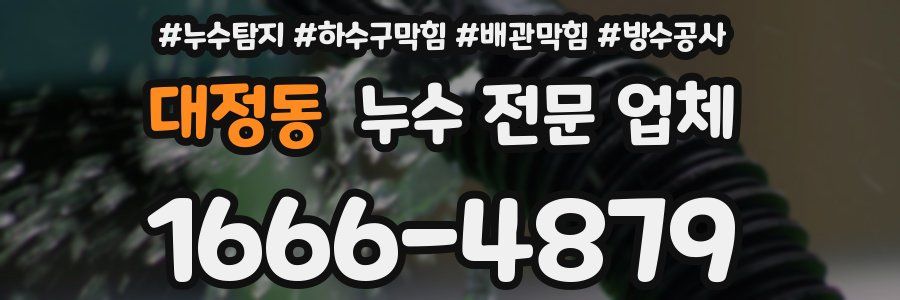 대정동 누수 전문 업체