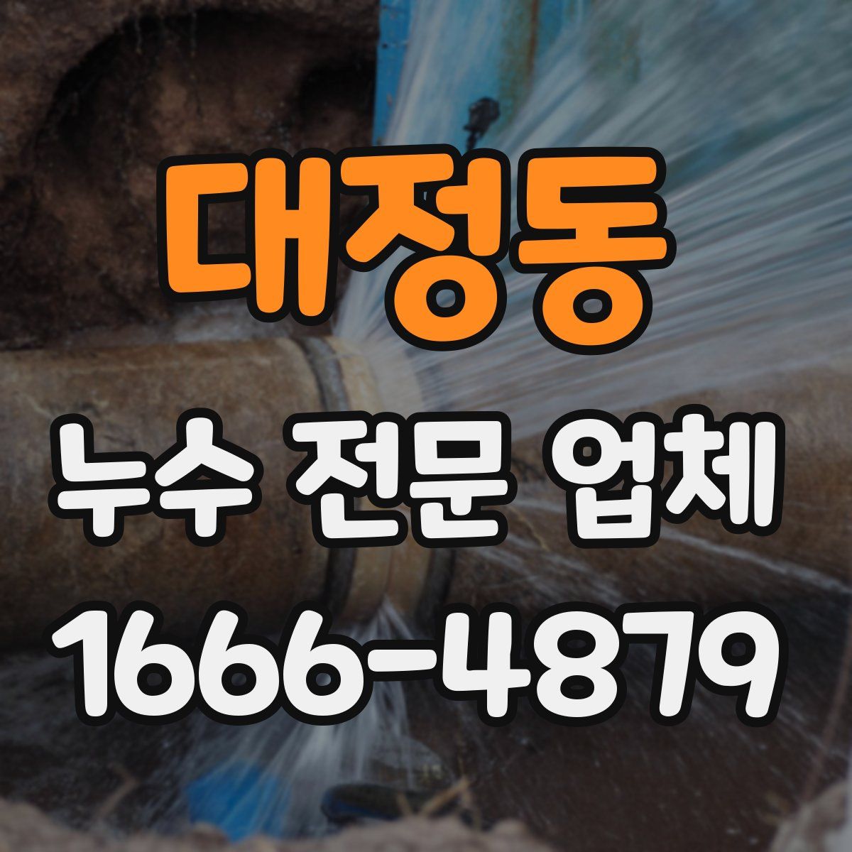 대정동 누수 전문 업체