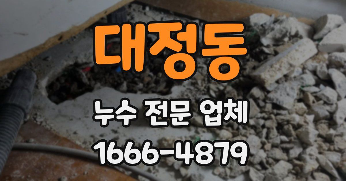 대정동 누수 전문 업체