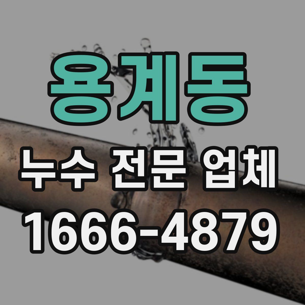 용계동 누수 전문 업체