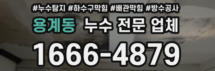 용계동 누수 전문 업체