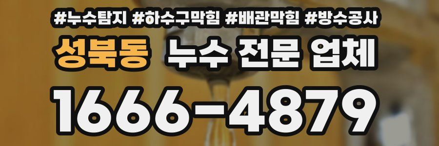 성북동 누수 전문 업체
