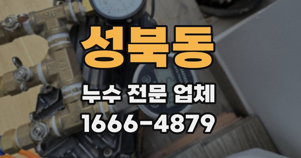 성북동 누수 전문 업체