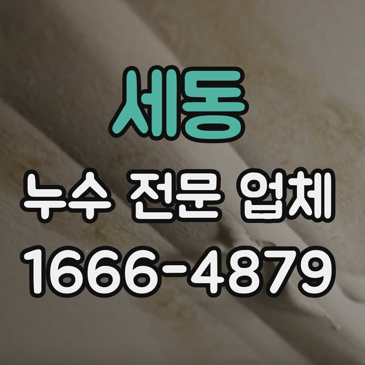 세동 누수 전문 업체