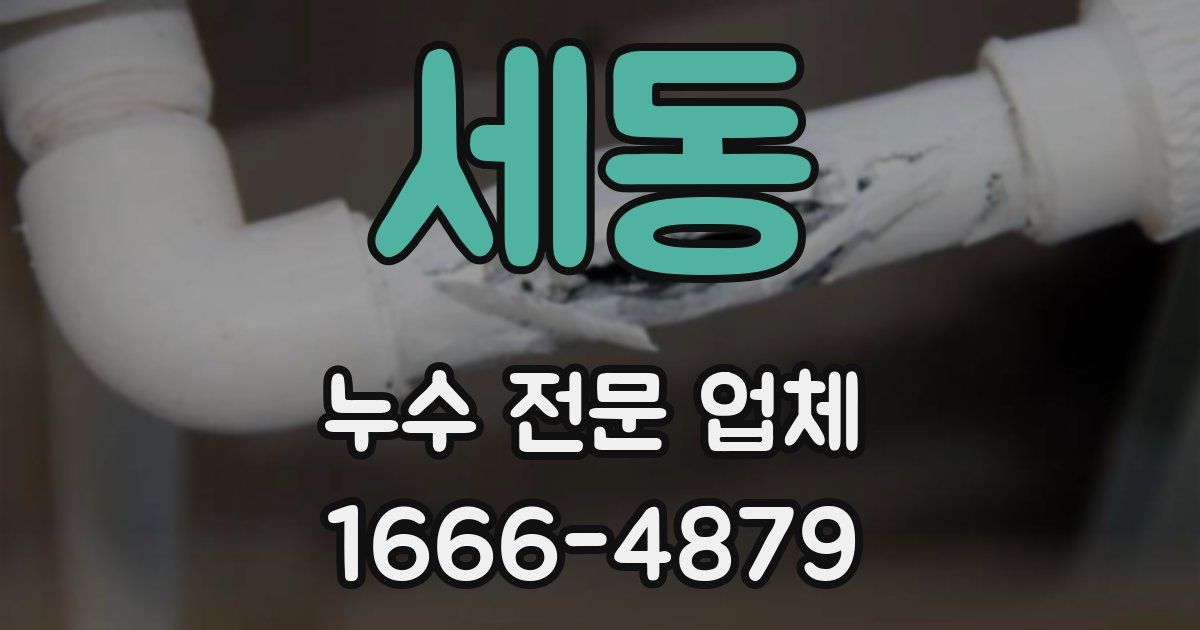 세동 누수 전문 업체