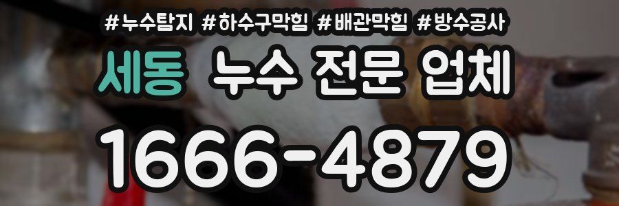 세동 누수 전문 업체