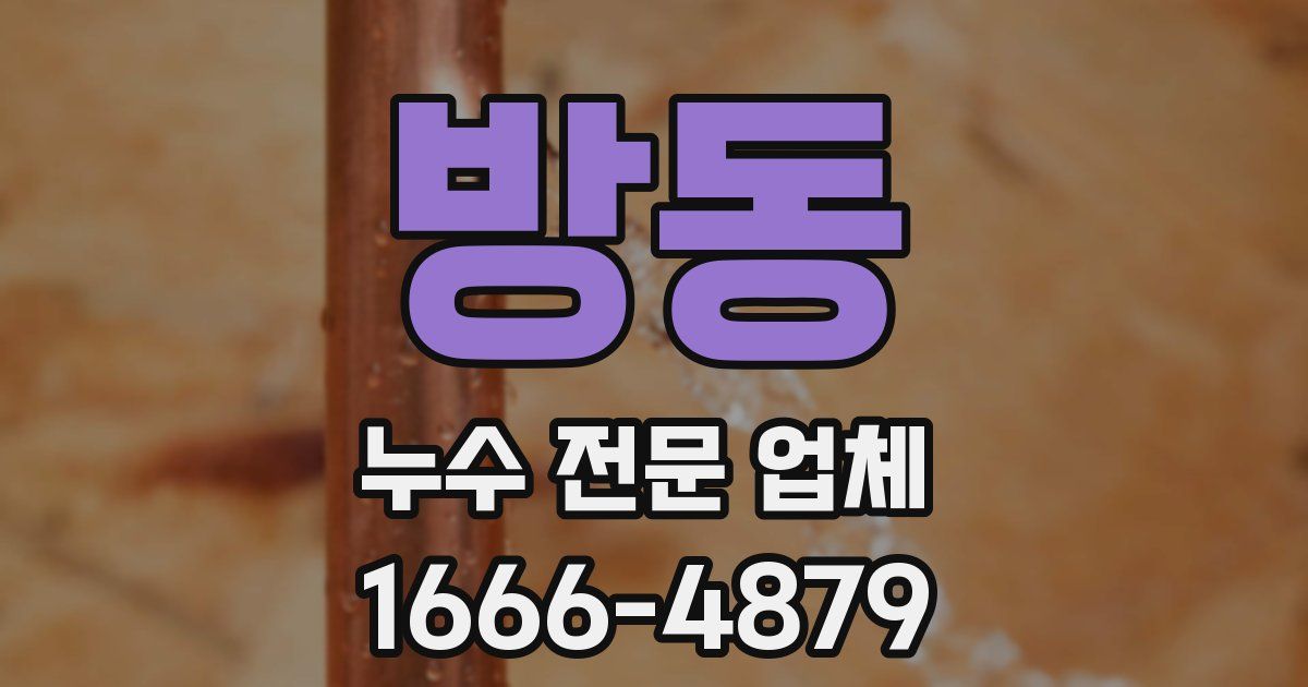 방동 누수 전문 업체