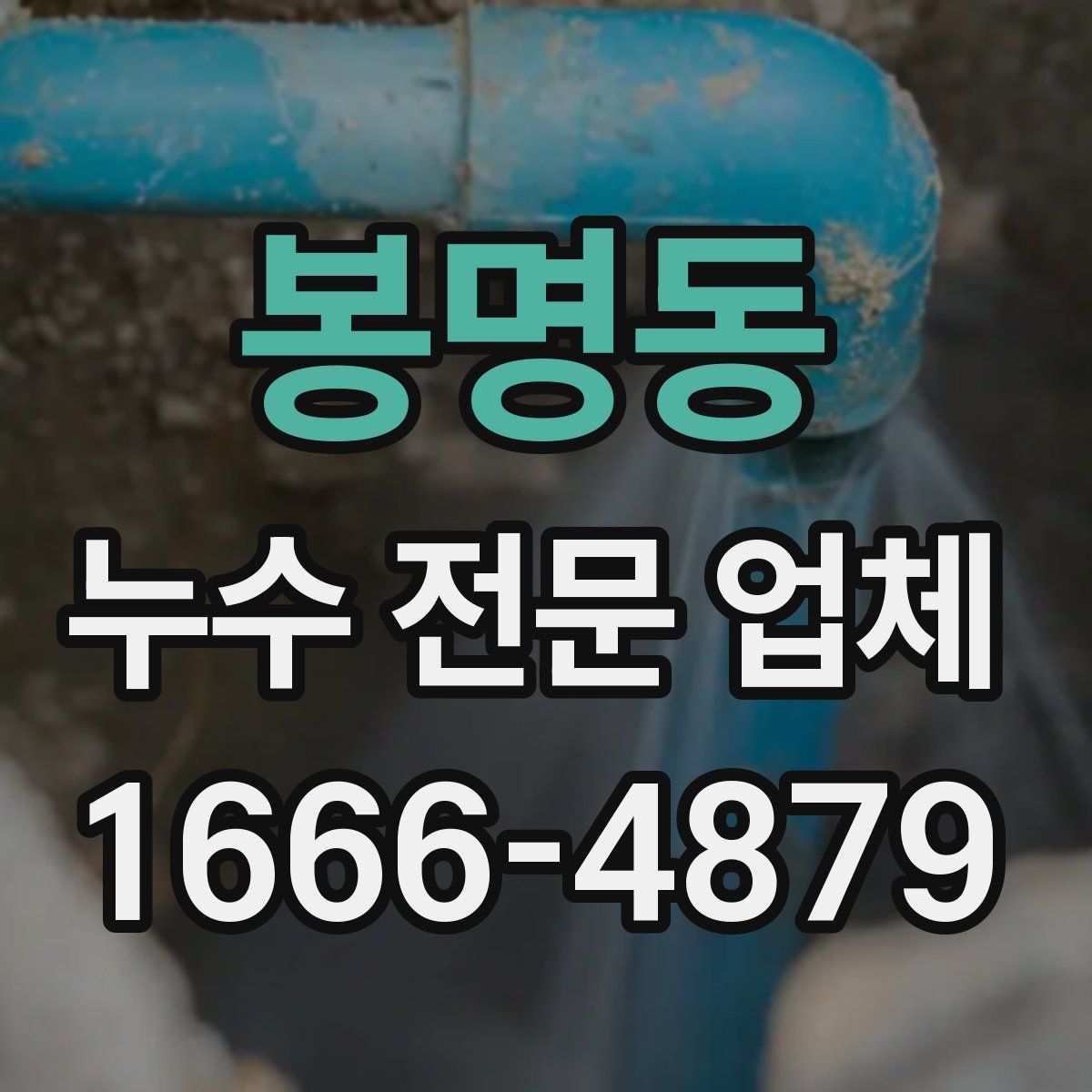 봉명동 누수 전문 업체
