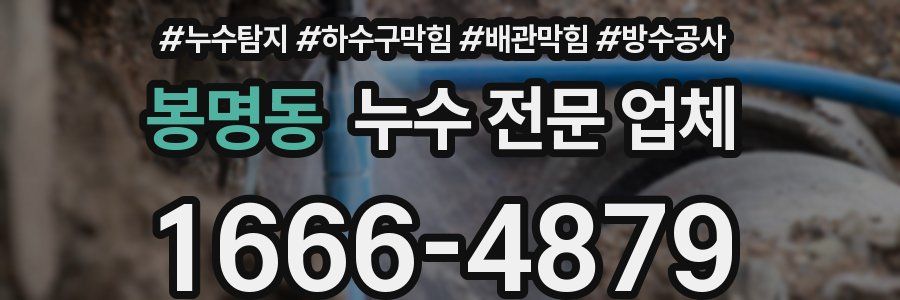 봉명동 누수 전문 업체