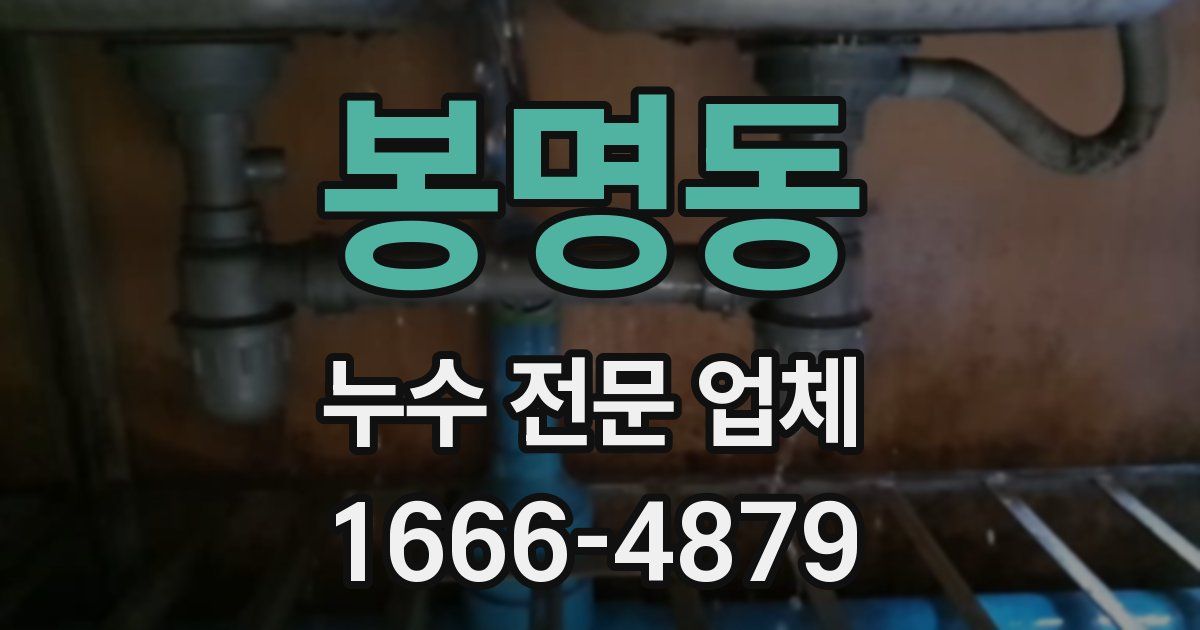 봉명동 누수 전문 업체