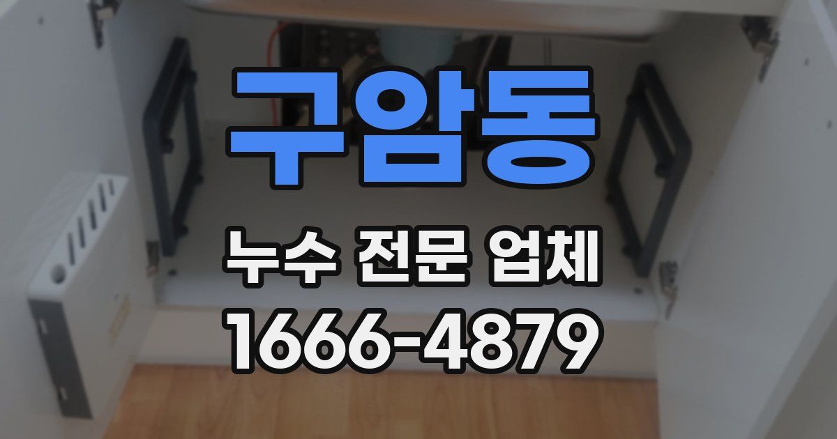 구암동 누수 전문 업체