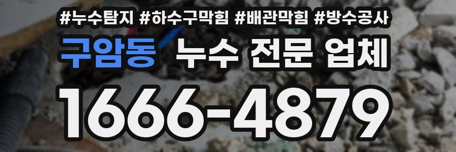 구암동 누수 전문 업체