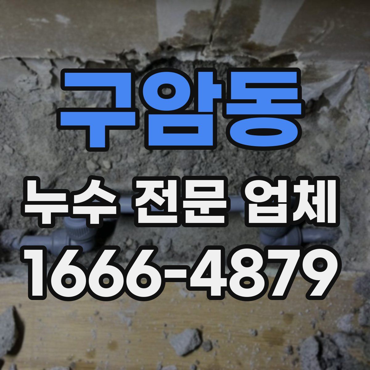 구암동 누수 전문 업체