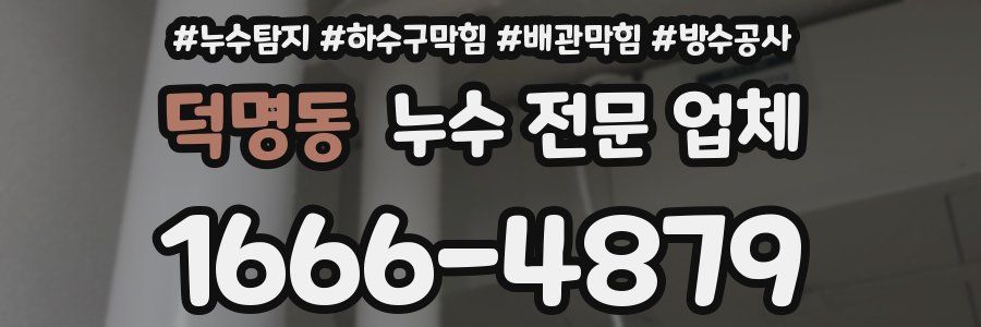 덕명동 누수 전문 업체