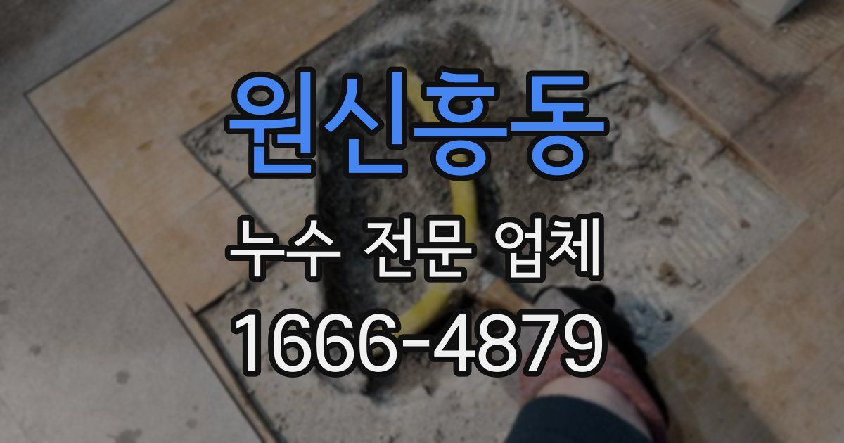 원신흥동 누수 전문 업체