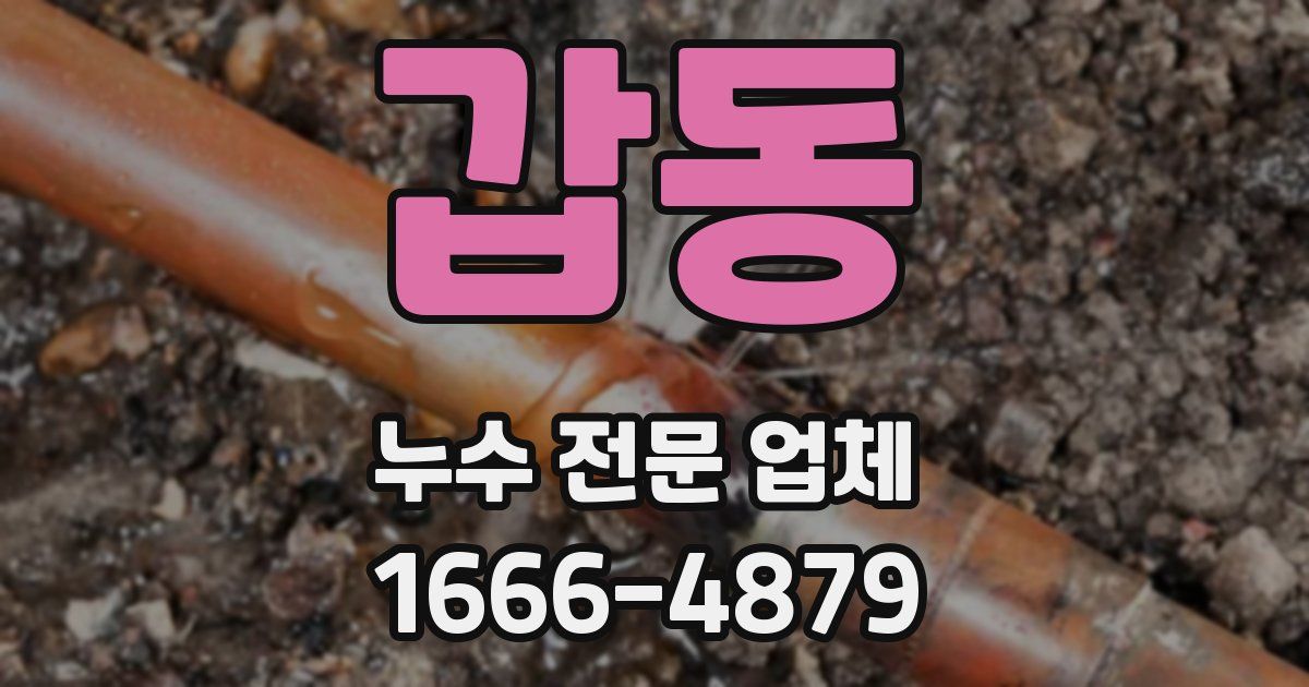 갑동 누수 전문 업체