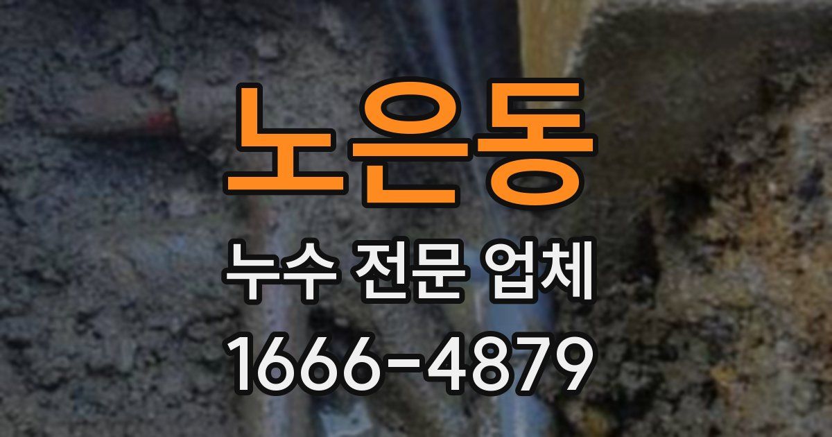 노은동 누수 전문 업체