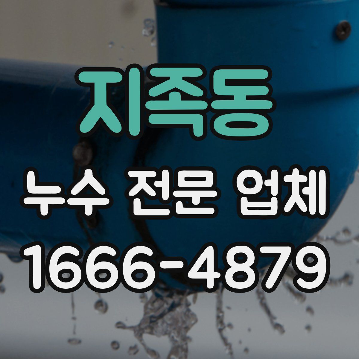 지족동 누수 전문 업체
