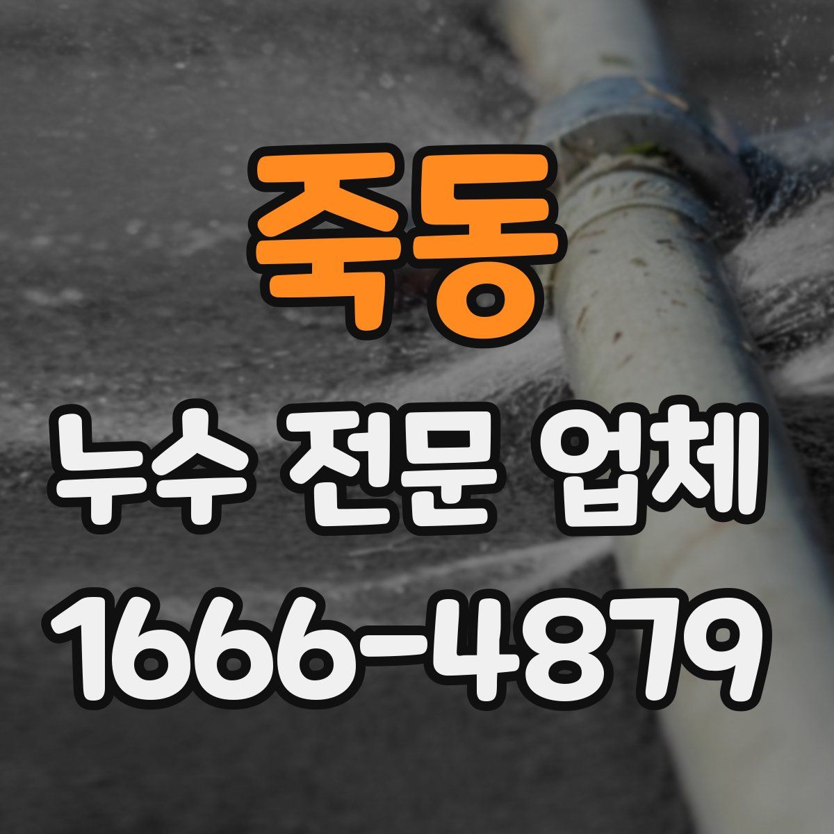 죽동 누수 전문 업체