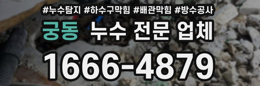 궁동 누수 전문 업체