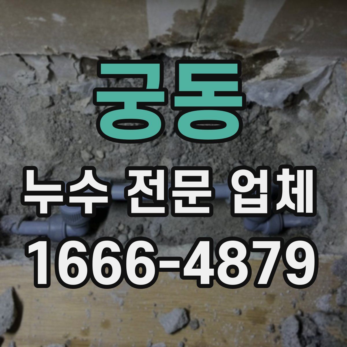 궁동 누수 전문 업체