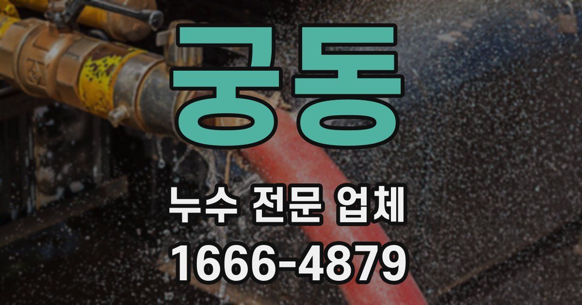 궁동 누수 전문 업체