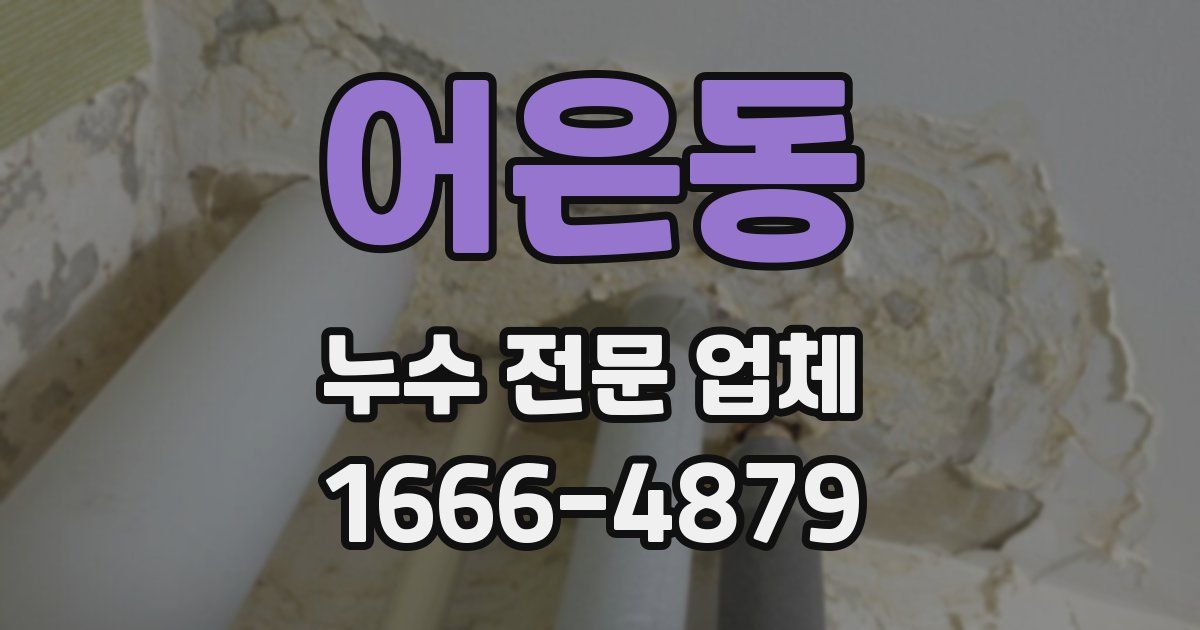 어은동 누수 전문 업체