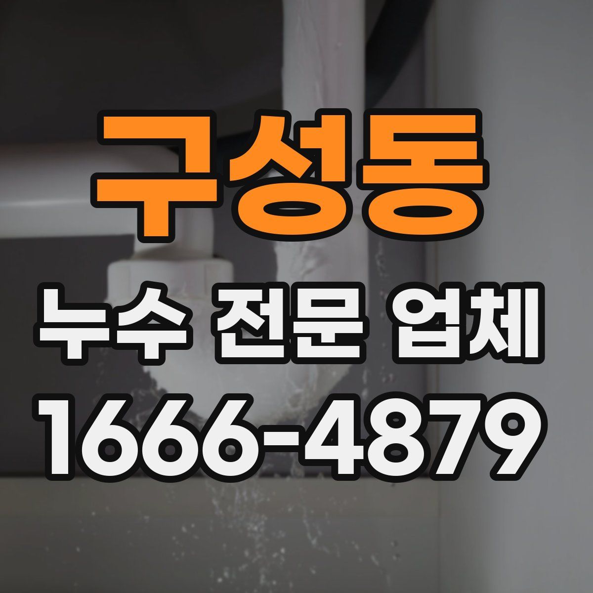 구성동 누수 전문 업체