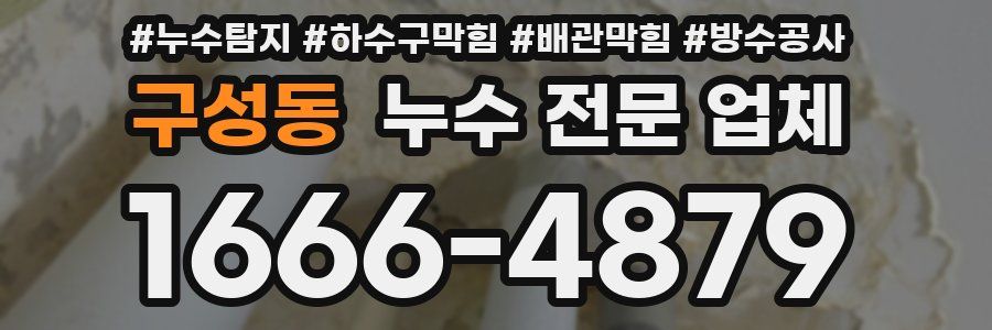 구성동 누수 전문 업체